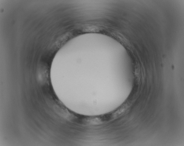 X0000077330322200611101530