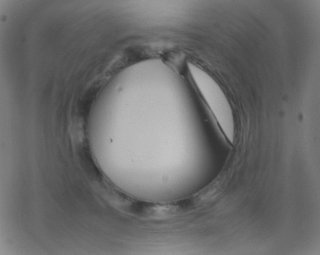 X0000077330323200611101530