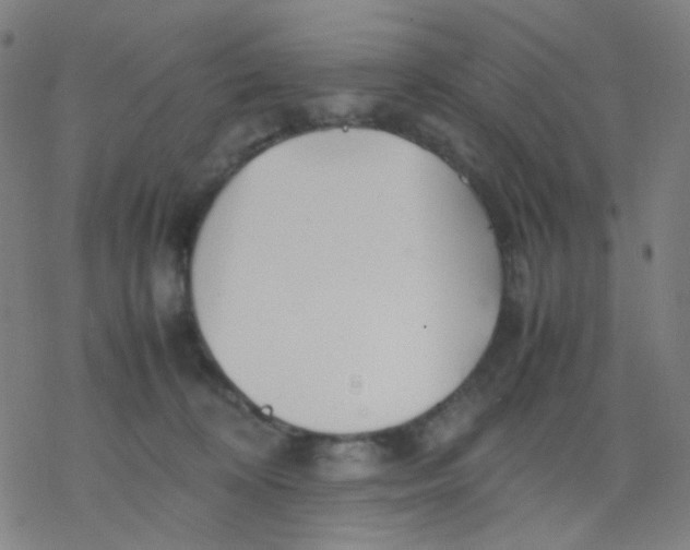 X0000077330324200611101530