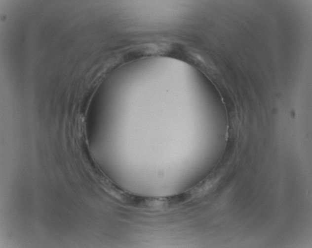 X0000077330325200611101530