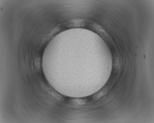 X0000077330326200611101530