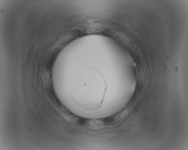 X0000077330327200611101530