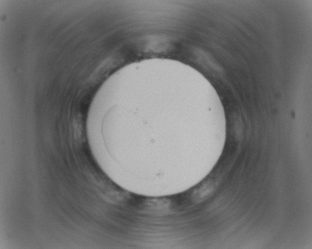 X0000077330328200611101530