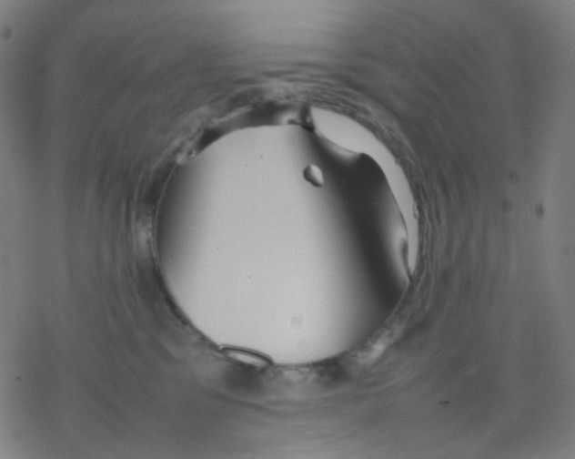 X0000077330329200611101530