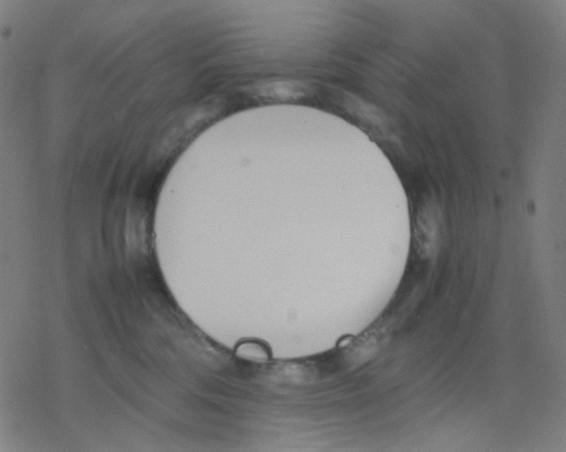 X0000077330330200611101530