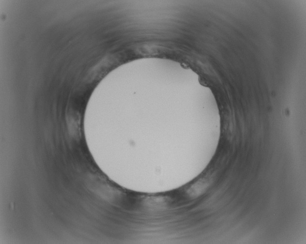 X0000077330332200611101530