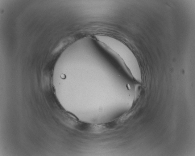 X0000077330333200611101530