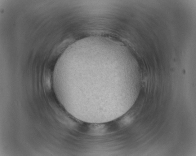 X0000077330334200611101530