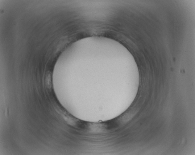 X0000077330336200611101530