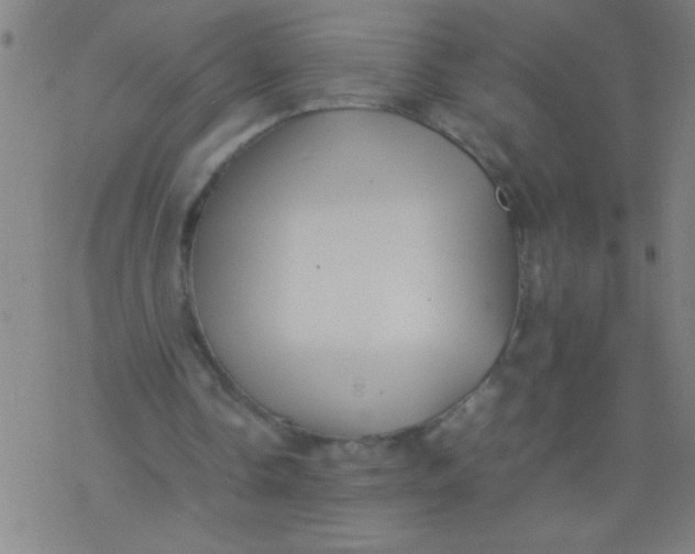 X0000077330338200611101529