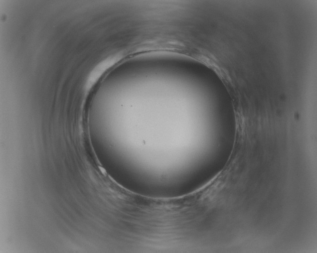 X0000077330340200611101529