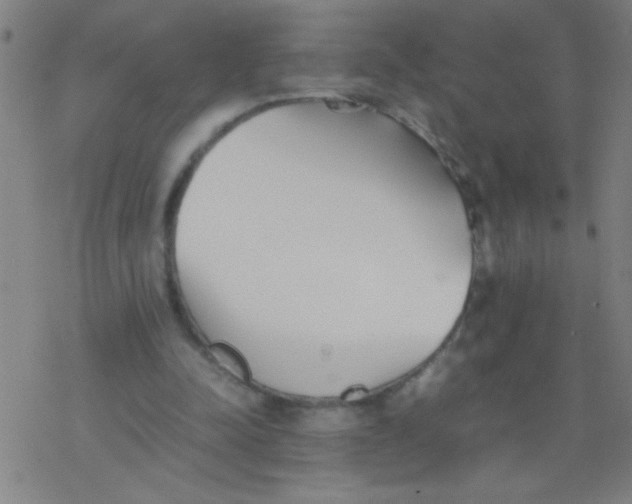 X0000077330342200611101529