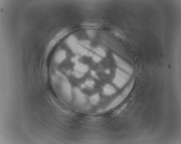 X0000077330343200611101529