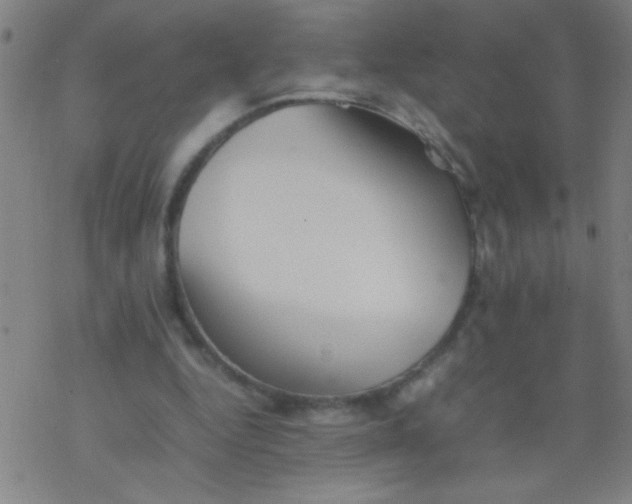 X0000077330344200611101529