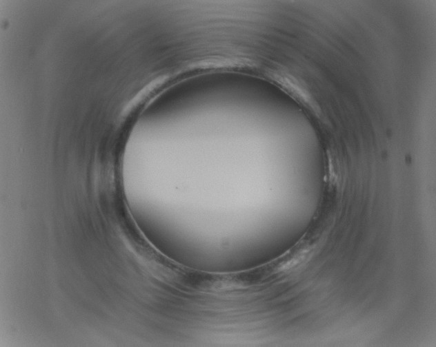 X0000077330348200611101529