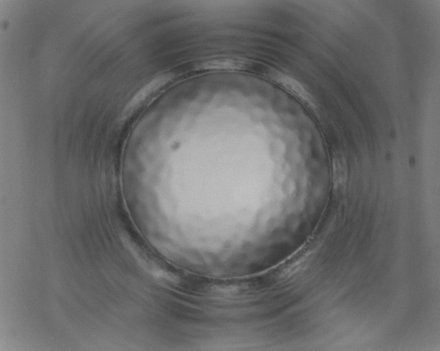 X0000077330349200611101529