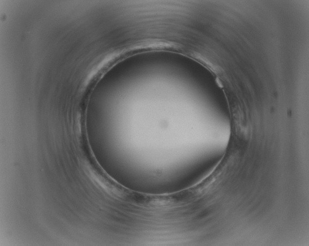 X0000077330350200611101529