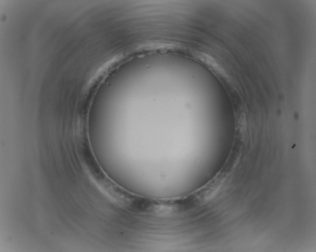 X0000077330352200611101529