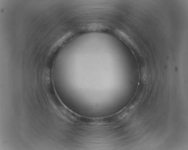 X0000077330356200611101529