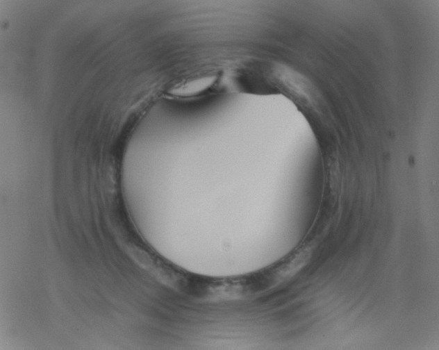 X0000077330362200611101529