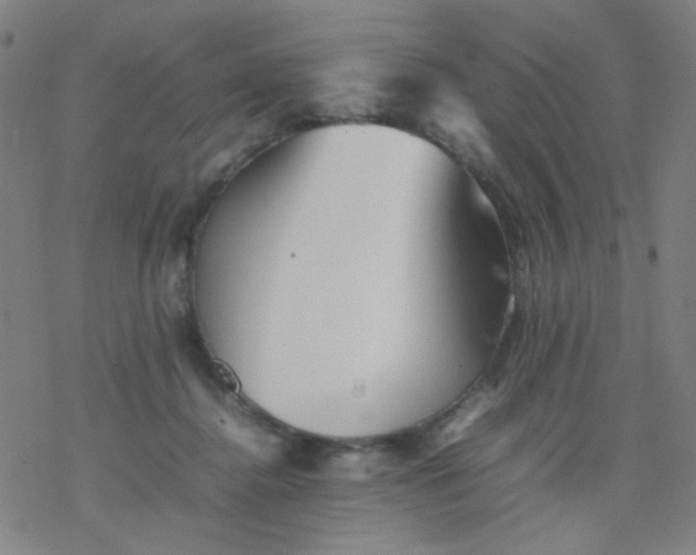 X0000077330364200611101529