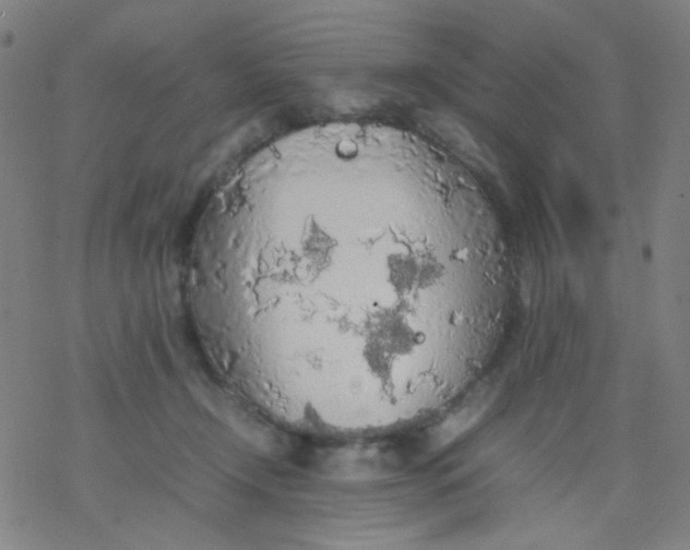 X0000077330366200611101530