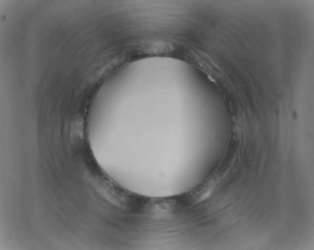 X0000077330368200611101530