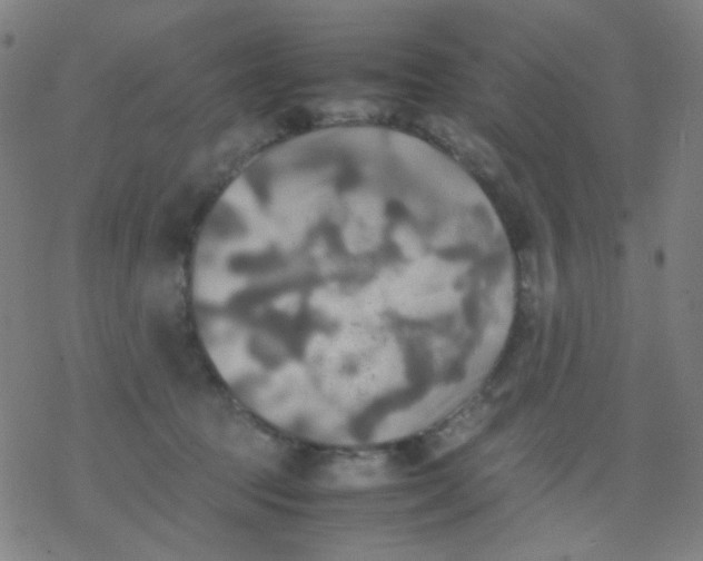 X0000077330369200611101530