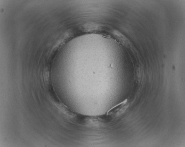 X0000077330372200611101530