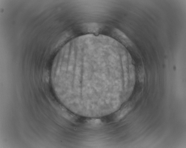 X0000077330374200611101530