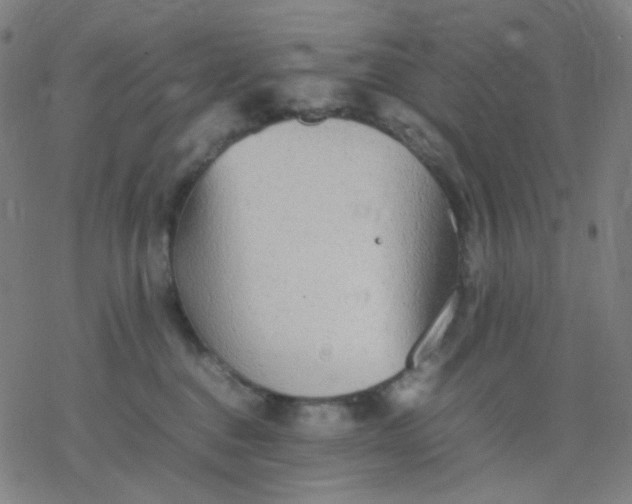 X0000077330376200611101530