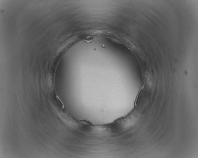 X0000077330380200611101530