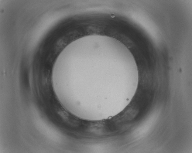 X0000077330382200611101530