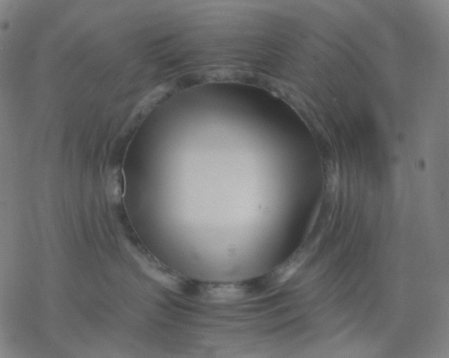 X0000077330383200611101530