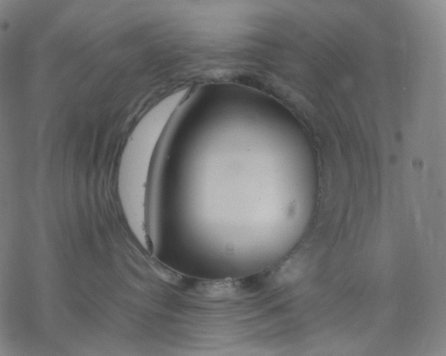 X0000077330384200611101530