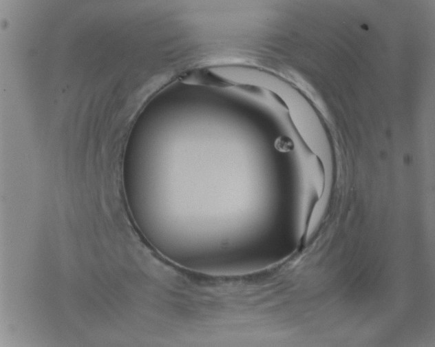 X0000077330385200611101529