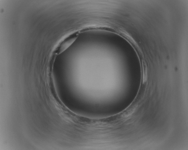 X0000077330387200611101529