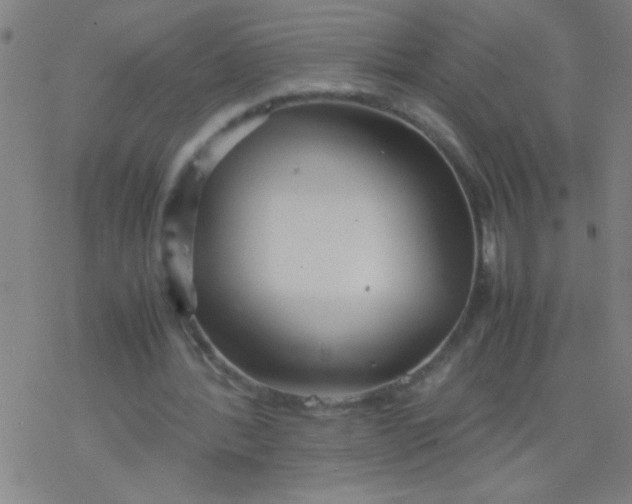 X0000077330388200611101529