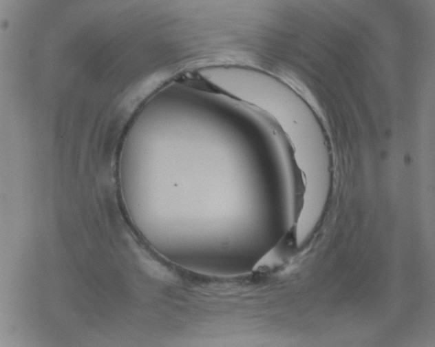 X0000077330389200611101529