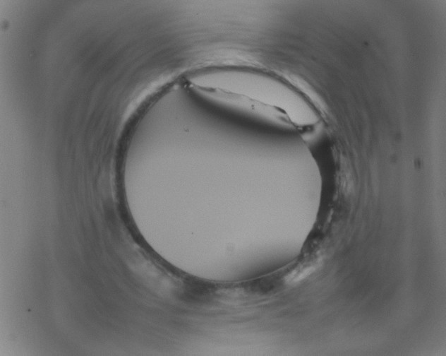 X0000077330391200611101529