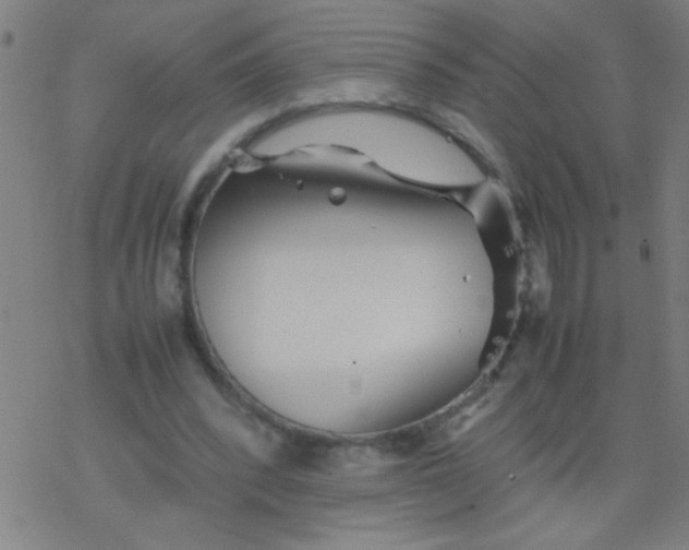 X0000077330392200611101529