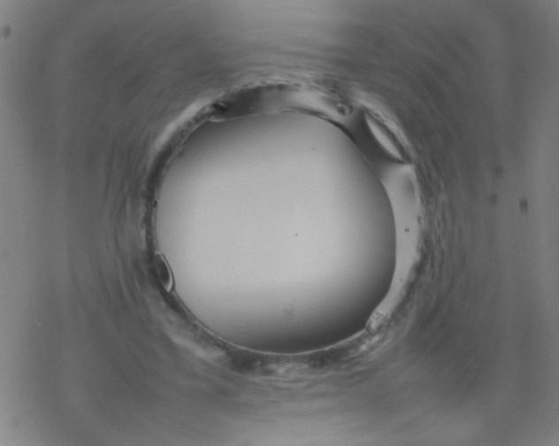 X0000077330395200611101529