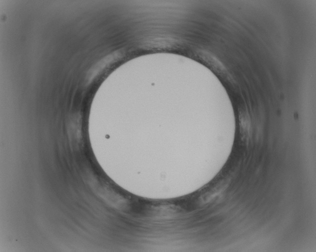 X0000077330396200611101529