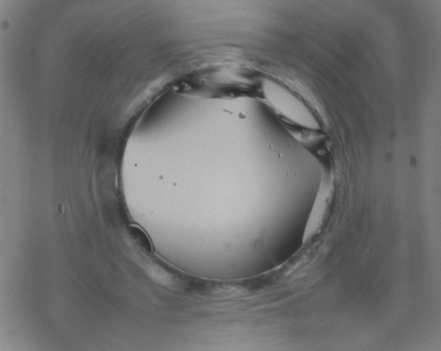 X0000077330397200611101529