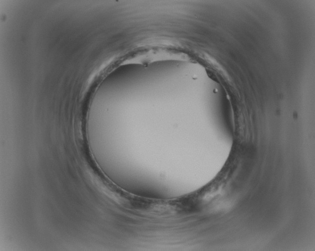 X0000077330399200611101529