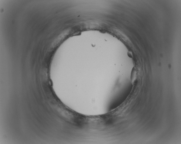 X0000077330401200611101529