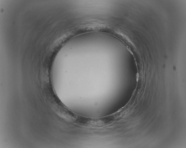 X0000077330403200611101529