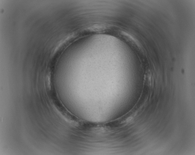 X0000077330404200611101529