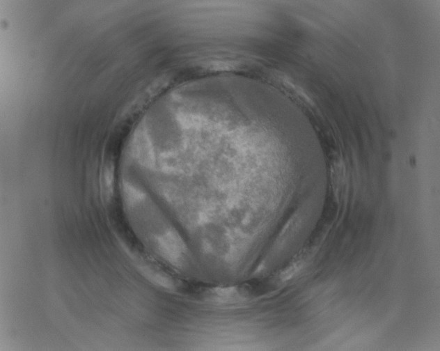 X0000077330406200611101529