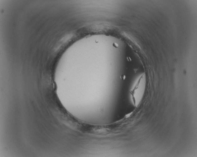 X0000077330407200611101529